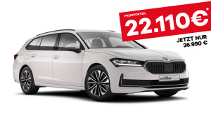 Bild mit dem Titel superb_freisteller10