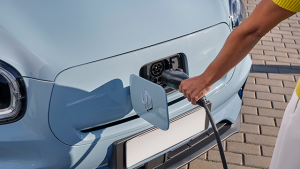 Bild mit dem Titel low-leap_msb8963-copia_elektro22