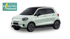 Bild mit dem Titel leap_elektropraemie_fahrzeuge