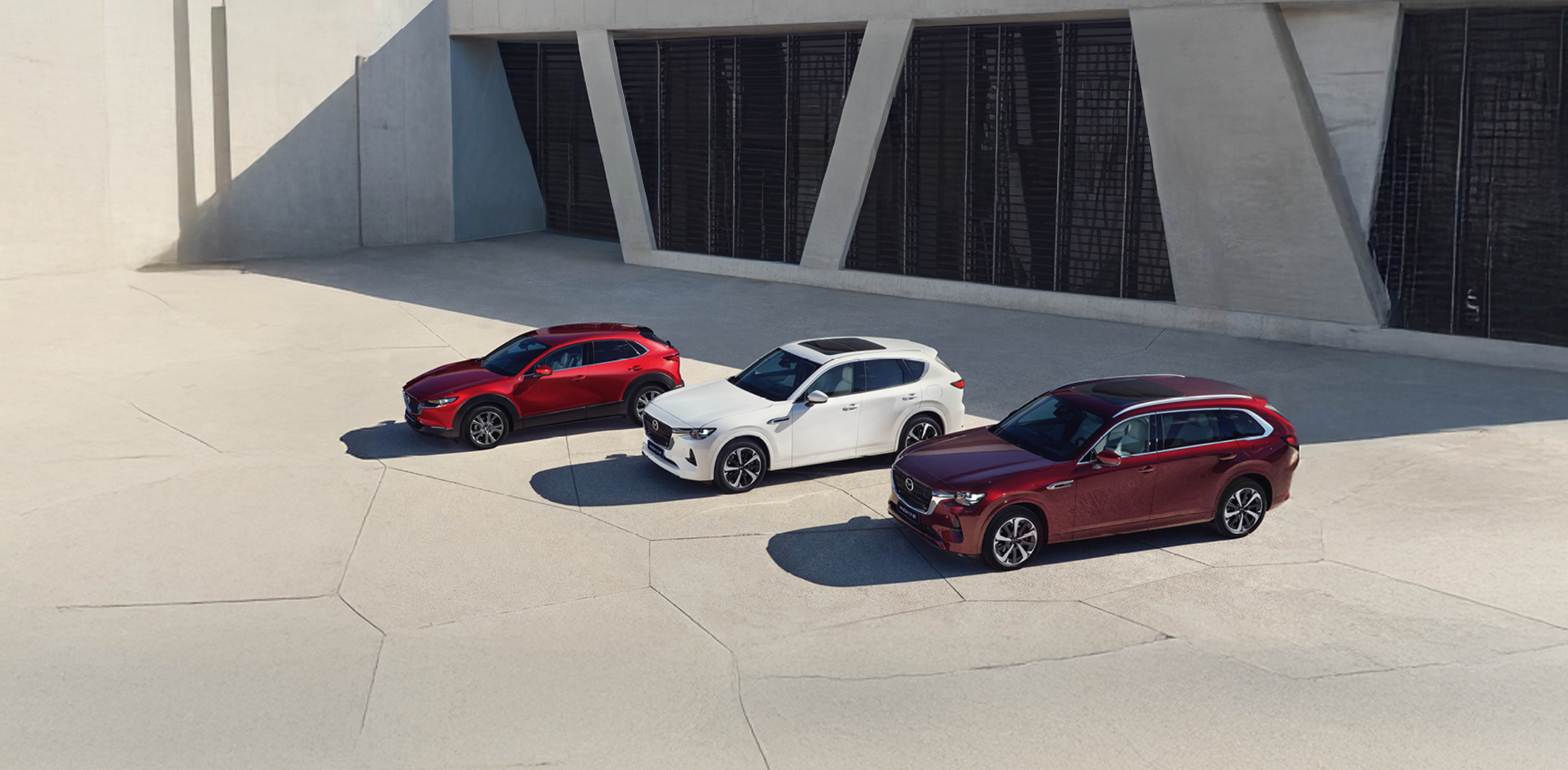 Sliderinhalt Desktop