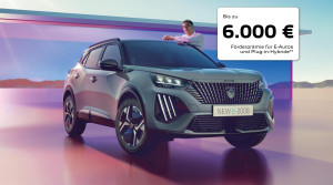 Bild mit dem Titel freisteller_e_2008_foerderung