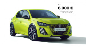 Bild mit dem Titel freisteller-mit-foerderung