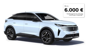 Bild mit dem Titel p_e-3008_praemie