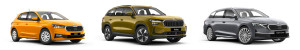 Bild mit dem Titel skoda_alle_reihe3